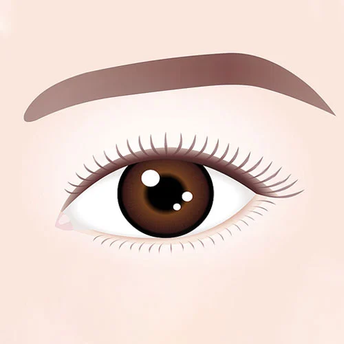 Double Eyelid Surgery 02 1
