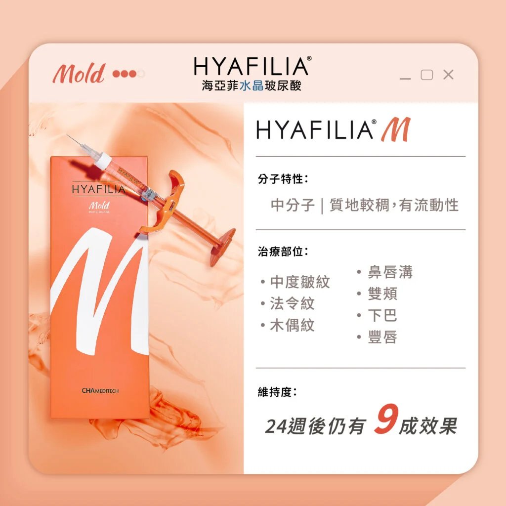 250213 Mold自我介紹檔案 1024x1024 1