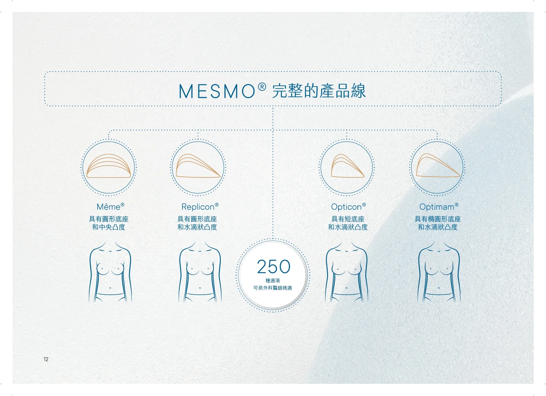 Mesmo中文版dm 20240403 頁面 12