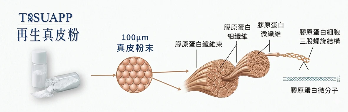 Image B6e84ffc